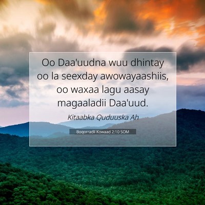 Picture 07 - Boqorradii Kowaad 2:10 SOM - Oo Daa'uudna wuu dhintay oo la seexday - Bible Verse Picture