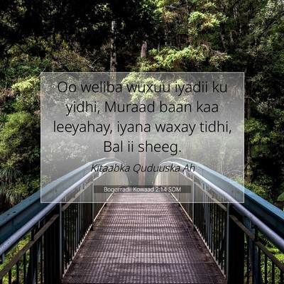 Picture 07 - Boqorradii Kowaad 2:14 SOM - Oo weliba wuxuu iyadii ku yidhi, Muraad baan kaa - Bible Verse Picture