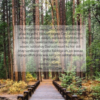 Picture 07 - Boqorradii Kowaad 2:26 SOM - Oo boqorkiina wuxuu wadaadkii Aabyaataar ahaa ku - Bible Verse Picture