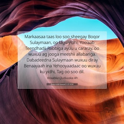 Picture 07 - Boqorradii Kowaad 2:29 SOM - Markaasaa taas loo soo sheegay Boqor Sulaymaan, - Bible Verse Picture