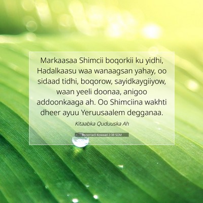 Picture 07 - Boqorradii Kowaad 2:38 SOM - Markaasaa Shimcii boqorkii ku yidhi, Hadalkaasu - Bible Verse Picture