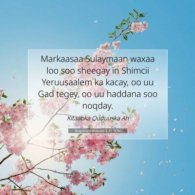 Picture 07 - Boqorradii Kowaad 2:41 SOM - Markaasaa Sulaymaan waxaa loo soo sheegay in - Bible Verse Picture