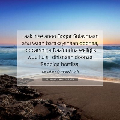 Picture 07 - Boqorradii Kowaad 2:45 SOM - Laakiinse anoo Boqor Sulaymaan ahu waan - Bible Verse Picture