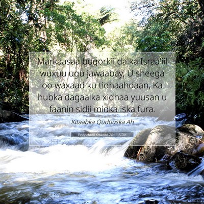 Picture 07 - Boqorradii Kowaad 20:11 SOM - Markaasaa boqorkii dalka Israa'iil wuxuu ugu - Bible Verse Picture