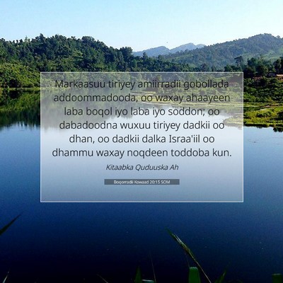 Picture 07 - Boqorradii Kowaad 20:15 SOM - Markaasuu tiriyey amiirradii gobollada - Bible Verse Picture