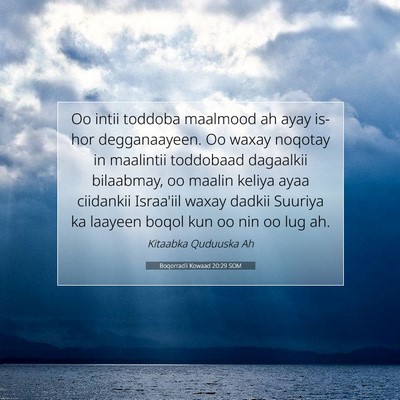 Picture 07 - Boqorradii Kowaad 20:29 SOM - Oo intii toddoba maalmood ah ayay is-hor - Bible Verse Picture