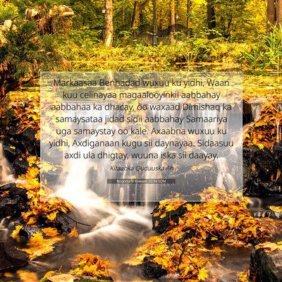 Picture 07 - Boqorradii Kowaad 20:34 SOM - Markaasaa Benhadad wuxuu ku yidhi, Waan kuu - Bible Verse Picture
