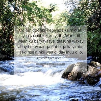 Picture 07 - Boqorradii Kowaad 20:35 SOM - Oo nin qoonkii nebiyada ka mid ah ayaa - Bible Verse Picture