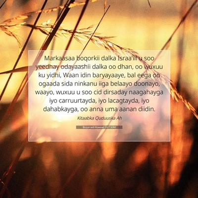 Picture 07 - Boqorradii Kowaad 20:7 SOM - Markaasaa boqorkii dalka Israa'iil u soo yeedhay - Bible Verse Picture