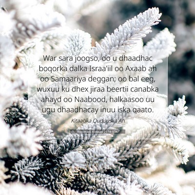Picture 07 - Boqorradii Kowaad 21:18 SOM - War sara joogso, oo u dhaadhac boqorka dalka - Bible Verse Picture