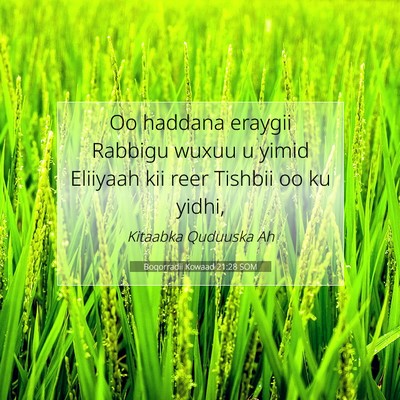Picture 07 - Boqorradii Kowaad 21:28 SOM - Oo haddana eraygii Rabbigu wuxuu u yimid Eliiyaah - Bible Verse Picture