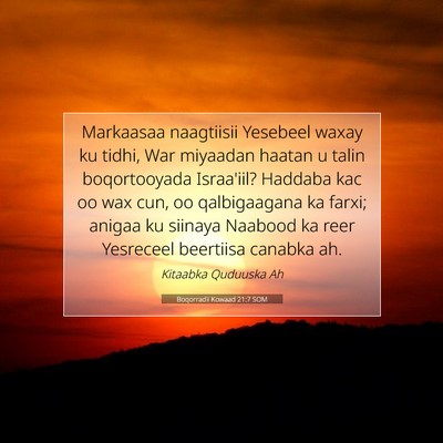 Picture 07 - Boqorradii Kowaad 21:7 SOM - Markaasaa naagtiisii Yesebeel waxay ku tidhi, War - Bible Verse Picture