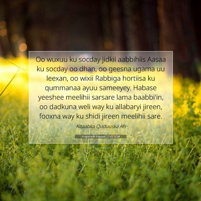 Picture 07 - Boqorradii Kowaad 22:43 SOM - Oo wuxuu ku socday jidkii aabbihiis Aasaa ku - Bible Verse Picture