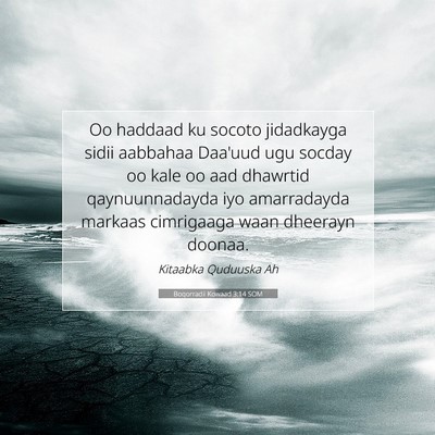 Picture 07 - Boqorradii Kowaad 3:14 SOM - Oo haddaad ku socoto jidadkayga sidii aabbahaa - Bible Verse Picture