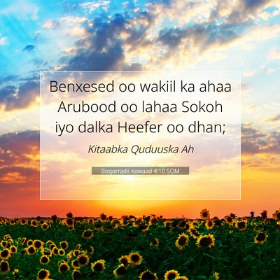 Picture 07 - Boqorradii Kowaad 4:10 SOM - Benxesed oo wakiil ka ahaa Arubood oo lahaa Sokoh - Bible Verse Picture