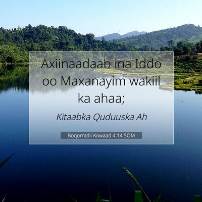 Picture 07 - Boqorradii Kowaad 4:14 SOM - Axiinaadaab ina Iddo oo Maxanayim wakiil ka - Bible Verse Picture