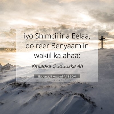 Picture 07 - Boqorradii Kowaad 4:18 SOM - iyo Shimcii ina Eelaa, oo reer Benyaamiin wakiil - Bible Verse Picture