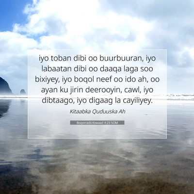 Picture 07 - Boqorradii Kowaad 4:23 SOM - iyo toban dibi oo buurbuuran, iyo labaatan dibi - Bible Verse Picture