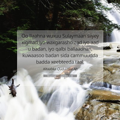 Picture 07 - Boqorradii Kowaad 4:29 SOM - Oo Ilaahna wuxuu Sulaymaan siiyey xigmad iyo - Bible Verse Picture
