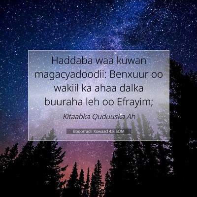 Picture 07 - Boqorradii Kowaad 4:8 SOM - Haddaba waa kuwan magacyadoodii: Benxuur oo - Bible Verse Picture