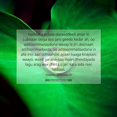 Picture 07 - Boqorradii Kowaad 5:6 SOM - Haddaba sidaas daraaddeed amar in Lubnaan layga - Bible Verse Picture