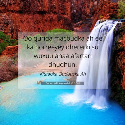 Picture 07 - Boqorradii Kowaad 6:17 SOM - Oo guriga macbudka ah ee ka horreeyey dhererkiisu - Bible Verse Picture