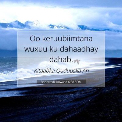 Picture 07 - Boqorradii Kowaad 6:28 SOM - Oo keruubiimtana wuxuu ku dahaadhay - Bible Verse Picture