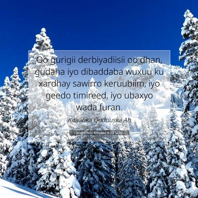Picture 07 - Boqorradii Kowaad 6:29 SOM - Oo gurigii derbiyadiisii oo dhan, gudaha iyo - Bible Verse Picture