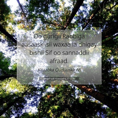 Picture 07 - Boqorradii Kowaad 6:37 SOM - Oo gurigii Rabbiga aasaaskiisii waxaa la dhigay - Bible Verse Picture
