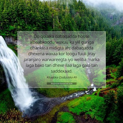 Picture 07 - Boqorradii Kowaad 6:8 SOM - Oo qolalka dabaqadda hoose albaabkoodu wuxuu ku - Bible Verse Picture