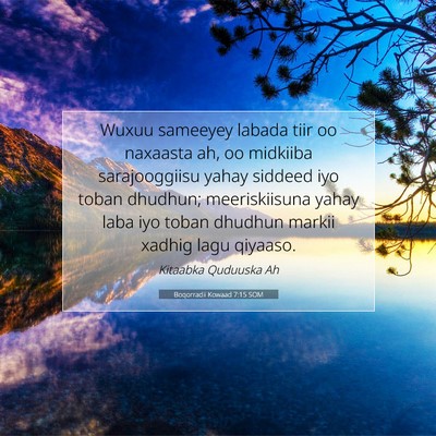 Picture 07 - Boqorradii Kowaad 7:15 SOM - Wuxuu sameeyey labada tiir oo naxaasta ah, oo - Bible Verse Picture