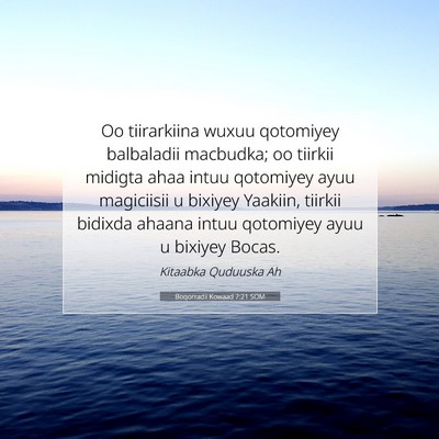 Picture 07 - Boqorradii Kowaad 7:21 SOM - Oo tiirarkiina wuxuu qotomiyey balbaladii - Bible Verse Picture