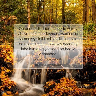 Picture 07 - Boqorradii Kowaad 7:26 SOM - Oo berkeddii dhumucdeedu waxay ahayd taako; - Bible Verse Picture