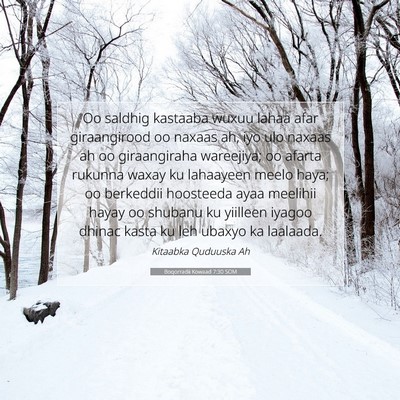 Picture 07 - Boqorradii Kowaad 7:30 SOM - Oo saldhig kastaaba wuxuu lahaa afar giraangirood - Bible Verse Picture