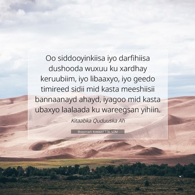 Picture 07 - Boqorradii Kowaad 7:36 SOM - Oo siddooyinkiisa iyo darfihiisa dushooda wuxuu - Bible Verse Picture