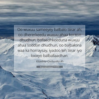 Picture 07 - Boqorradii Kowaad 7:6 SOM - Oo wuxuu sameeyey balbalo tiirar ah; oo - Bible Verse Picture