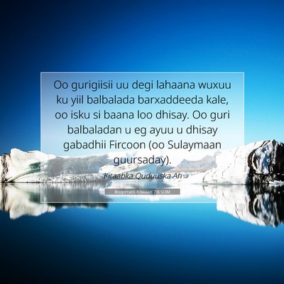 Picture 07 - Boqorradii Kowaad 7:8 SOM - Oo gurigiisii uu degi lahaana wuxuu ku yiil - Bible Verse Picture