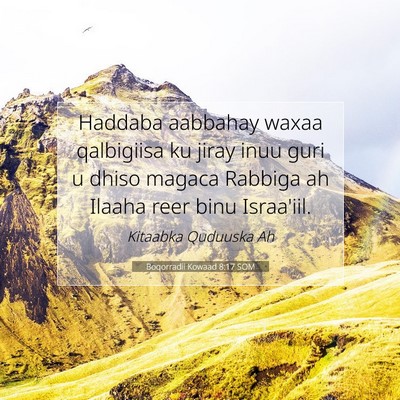 Picture 07 - Boqorradii Kowaad 8:17 SOM - Haddaba aabbahay waxaa qalbigiisa ku jiray inuu - Bible Verse Picture