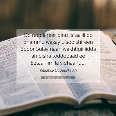 Picture 07 - Boqorradii Kowaad 8:2 SOM - Oo raggii reer binu Israa'iil oo dhammu waxay u - Bible Verse Picture