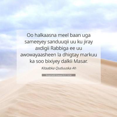 Picture 07 - Boqorradii Kowaad 8:21 SOM - Oo halkaasna meel baan uga sameeyey sanduuqii uu - Bible Verse Picture