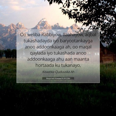Picture 07 - Boqorradii Kowaad 8:28 SOM - Oo weliba Rabbiyow, Ilaahayow, aqbal tukashadayda - Bible Verse Picture