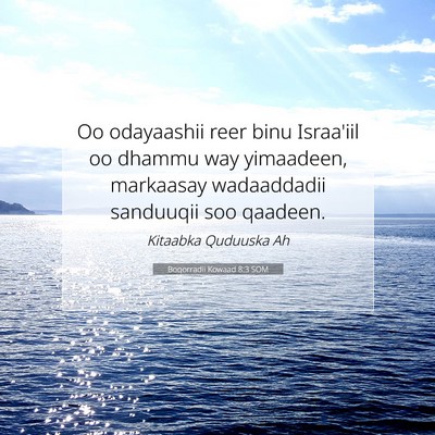 Picture 07 - Boqorradii Kowaad 8:3 SOM - Oo odayaashii reer binu Israa'iil oo dhammu way - Bible Verse Picture