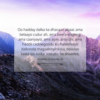 Picture 07 - Boqorradii Kowaad 8:37 SOM - Oo hadday dalka ka dhacaan abaar, ama belaayo - Bible Verse Picture