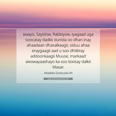 Picture 07 - Boqorradii Kowaad 8:53 SOM - waayo, Sayidow, Rabbiyow, iyagaad uga soocatay - Bible Verse Picture