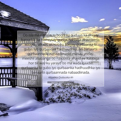 Picture 07 - Boqorradii Kowaad 8:64 SOM - Oo isla maalintaasuu boqorku quduus ka dhigay - Bible Verse Picture