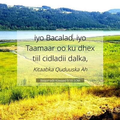 Picture 07 - Boqorradii Kowaad 9:18 SOM - iyo Bacalad, iyo Taamaar oo ku dhex tiil cidladii - Bible Verse Picture