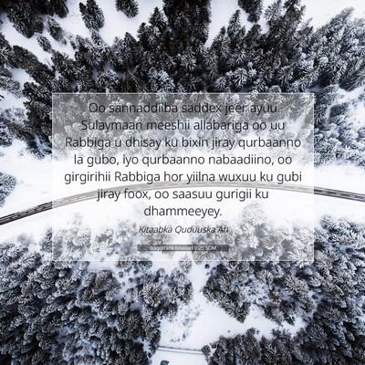 Picture 07 - Boqorradii Kowaad 9:25 SOM - Oo sannaddiiba saddex jeer ayuu Sulaymaan meeshii - Bible Verse Picture