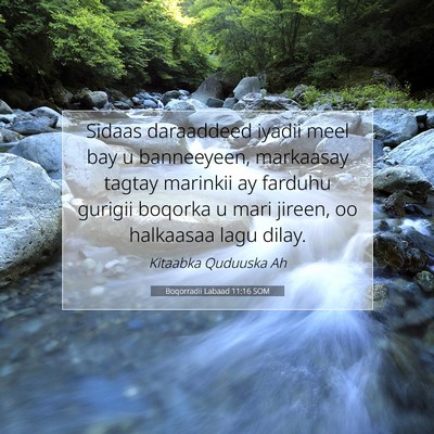 Picture 07 - Boqorradii Labaad 11:16 SOM - Sidaas daraaddeed iyadii meel bay u banneeyeen, - Bible Verse Picture