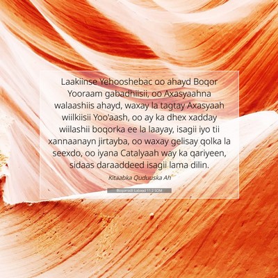 Picture 07 - Boqorradii Labaad 11:2 SOM - Laakiinse Yehooshebac oo ahayd Boqor Yooraam - Bible Verse Picture
