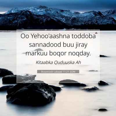 Picture 07 - Boqorradii Labaad 11:21 SOM - Oo Yehoo'aashna toddoba sannadood buu jiray - Bible Verse Picture